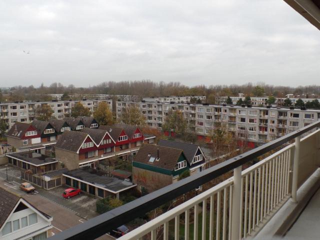 uitzicht over Maassluis