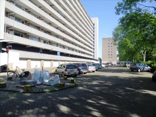 holysingel 262 vlaardingen