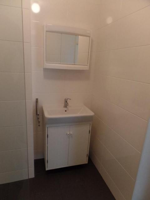 wasbak met opbergruimte, spiegelkast met oplaadpunt