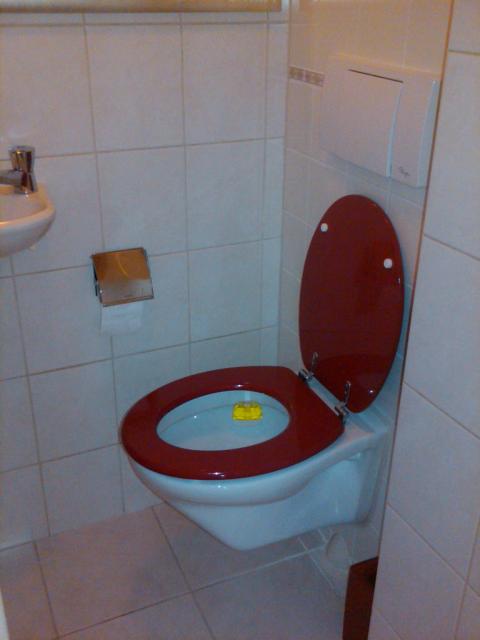 zwevend toilet